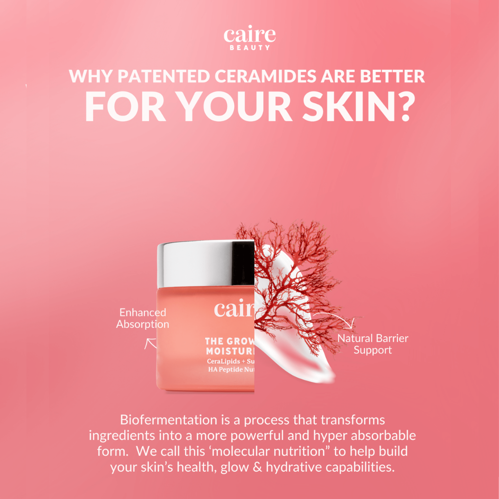 The Glowup Moisturizer